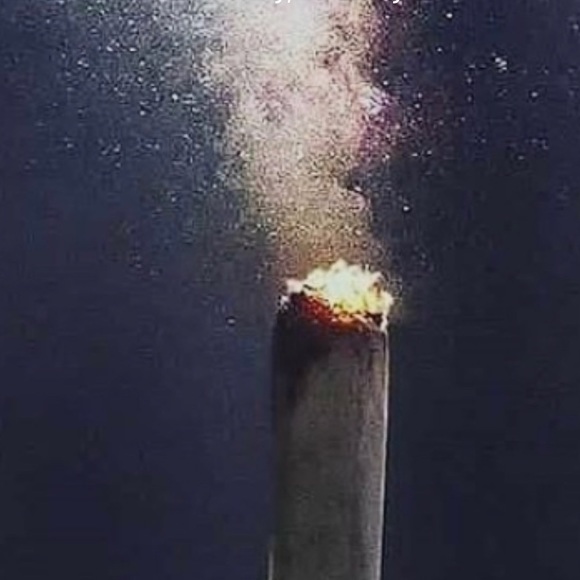 Meet your Posher, Brandon - Picture 1 of 1